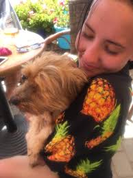 Max and Rosie's day at the puppy spa! They look great!