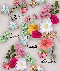 pin on good morning