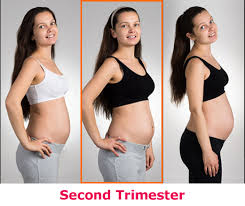 Other causes of abdominal pain in early pregnancy may be appendicitis, an ovarian cyst rupture, or a urinary tract however, when i became pregnant with my second child i had some pretty painful stabbing pains on my left side. Month Five Of Your Pregnancy Familyeducation