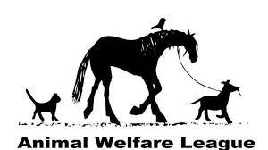 Maybe you would like to learn more about one of these? Petition Save The Animal Welfare League From Closing Its Clinic In Chicago Ridge Change Org