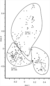 Image result for Hypolytrum heteromorphum