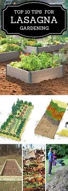 Top 10 Tips For Lasagna Gardening Lasagna Gardening Healthy Garden Soil Healthy Garden