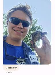 Identifying a 3 toed box turtle found locally
