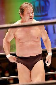Tatsumi Fujinami - Wikipedia