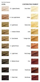 Info On Coloring Hair I Get A Lot Of Questions Regarding My Very Blonde Hair Colour And So I Decide Level 8 Hair Color Hair Color Chart At Home Hair Color