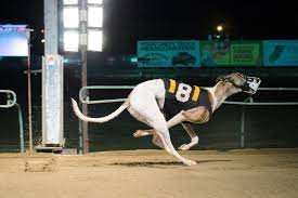 Visit our west memphis location! Southland Park Greyhounds Home Facebook