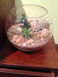 Pin By Always Spring Chesterfield On Terrariums Terrarium Decor Terrarium Decor