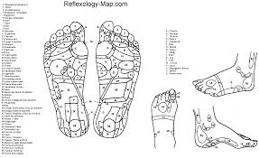 Foot Reflexology Chart Free Download