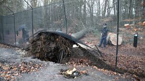 Check spelling or type a new query. Rtv Utrecht On Twitter Ook Beatrix Is Slachtoffer Van De Storm In Haar Tuin In Lage Vuursche Waaide Een Grote Boom Om De Prinses Is Ongedeerd Https T Co Iubsyqrldf Https T Co 5zf8lnlj43