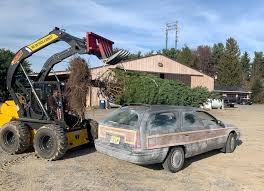 Christmas vacation tree on car. Homeowner S Christmas Vacation Light Display Is Back And Better Than Last Year Nj Com