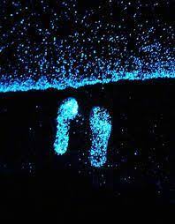 Sea Of Stars Vaadhoo Island Wallpaper Beautiful Beaches Most Beautiful Beaches Sea Of Stars