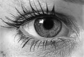 Callie provoca as pessoas de vez em quando, o que irrita muito marie. Desenhos Para Colorir A Beleza Do Desenho Realista Em Preto E Branco