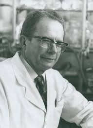 Heinrich Zollinger (Chemiker)