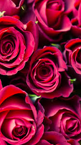 12 Super Cute Valentine S Day Iphone Wallpapers Preppy Wallpapers 41 cute valentine iphone wallpapers free to download. day iphone wallpapers