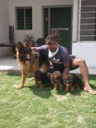 Check spelling or type a new query. Patiala Touch Dog Kennel Posts Facebook