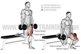 We did not find results for: Dumbbell Bulgarian Split Squat Guide And Video Weight Training Guide