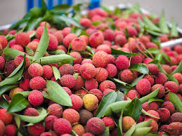 Lychee fruit is a rarity in the united states, probably because it isn't commercially grown on the mainland with the exception of small farms in florida. Top Lychee Producing Countries In The World Worldatlas