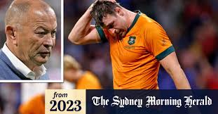 Wallabies and Rugby Australia need a 'clean out' after World Cup debacle