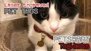 With their help, two pets are adopted every minute a. Review 15 Laser Engraved Pet Tags Petsmart Tagworks I Love Them 4k Youtube