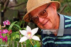 252 Candy Austin Stock Photos, High-Res Pictures, and Images