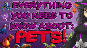 Wizard101 How To Make Or Copy The Perfect Pet 2017 Tutorial Heather The Wizard
