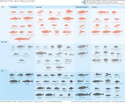 which fish are ok to eat this infographic helps you choose