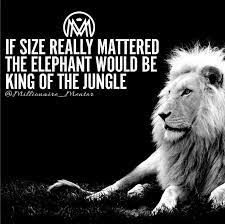 We all have the ability to produce greatness in our. Its All About Your Plan Of Attack And The Execution Of It But That Doesn T Mean You Can T Get Bigger Too Defintely Lion Quotes Warrior Quotes Badass Quotes