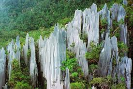 There are a lot of places to visit in pahang malaysia such as selingan. Taman Negara Rainforest Pahang Malaysia Gunung Mulu National Park National Parks Cool Places To Visit