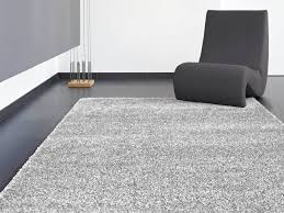 Luxury Nettoyer Tapis Poil Long Home Decor Decor Home