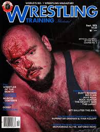 Pro Wrestling's Territory Era