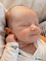 DANA STEPHENSON (@danastephenson_) • Instagram photos and videos