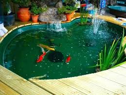 20 Kolam Ikan Dari Plastik Minimalis Terbaik 2020