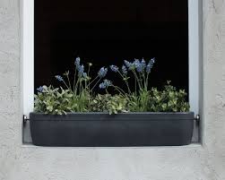 Windowgreen Fensterbank Blumenkasten Windowbox Blumenkasten Blumenkasten Fensterbank Baume Pflanzen