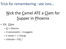 Link the camel ate a clam for supper in phoenix. Nick The Camel Ate A Clam For Supper In Phoenix Ppt Download