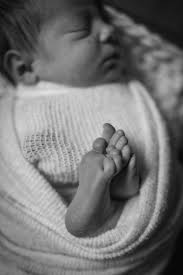 Brett Ingle Photography