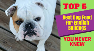 top 5 best dog food for english bulldogs you never knew