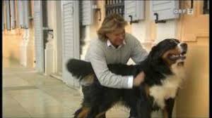Jeder hat 'nen hund, aber keinen zum reden ich atme ständig durch den mund, das ist teil meines lebens ich fühl mich ungesund, brauch was reines dagegen ich hab 'nen dicken kopf, ich muss 'nen saft haben ich hab dringlichen bock auf bagdads backwaren da ist es warm, da geb ich mich meinen träumen hin bei fatima, der süßen backwarenverkäuferin Hansi Hinterseer Quincy Youtube