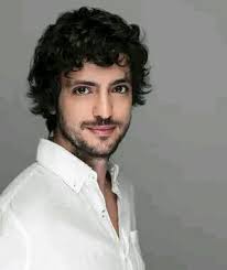 Who is the best and handsome male actor in Turkish dramas