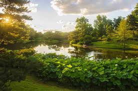 Winter garden is a city located 14 miles west of downtown orlando in the western part of orange county, florida, united states. Top Things To Do At The Missouri Botanical Garden