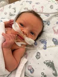 Fundraiser for Tony Knollenberg by Korin Arp : Help Tony and Jessica Care  for Rosemary