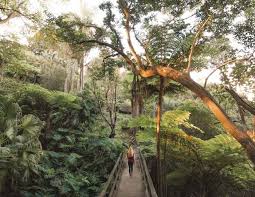 Most will walk, many will jog, some will run, and all have special reasons to push themselves. Cremorne Point Walk The Best Short Walk In Sydney Walk My World