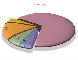 21st century pie chart