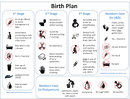 Printable Birth Plans For First Time Moms Pin On First Time Mom Pregnancy Birth Postpartum Info