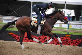 Check out the latest standings of contenders from the euro series who are hopeful to start the 2021 kentucky derby. Nyquist Horse Wikipedia