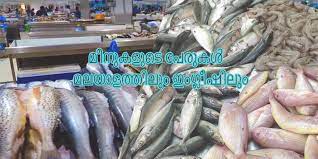 It is one of 22 scheduled languages of india spoken by 2.88% of indians. Fish Names In Malayalam And English à´®à´²à´¯ à´³à´¤ à´¤ à´² à´‡ à´— à´² à´· à´²