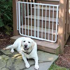 When he saw other dogs playing in the street, smith made up his mind to jump the gate of his home in san jose del monte in the philippines and join them. Top 5 Best Outdoor Dog Gates For Your Deck Or Porch Daily Dog Stuff
