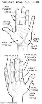 Simplified Hand Structure Drawing Reference D How to draw skin shadows i draw fashion. structure drawing reference