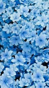 40 Ideas Flowers Wallpaper Tumblr Blue Blue Flower Wallpaper Spring Wallpaper Blue Wallpaper Iphone