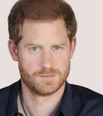 Prince Harry's hair undergoes transformation in new official photo