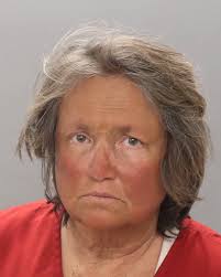 Name: GREENE ASHLEY LYNNETTE 03/31/1989 F B Booking Date: 12/19/2024  Charges: TRESPASS PROP. OTHER THAN STRUCTURE/CONVEYANCE